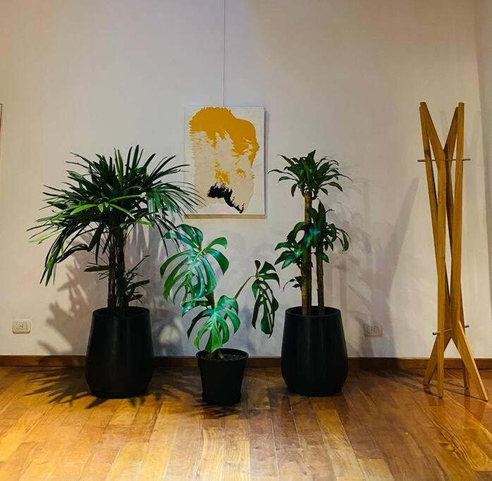 Arts Loft, A Estrenar! Buenos Aires Apartment Luaran gambar